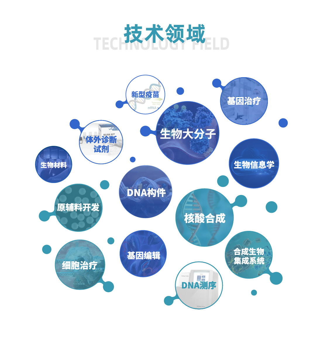 K8��������Ӯ��һ����������